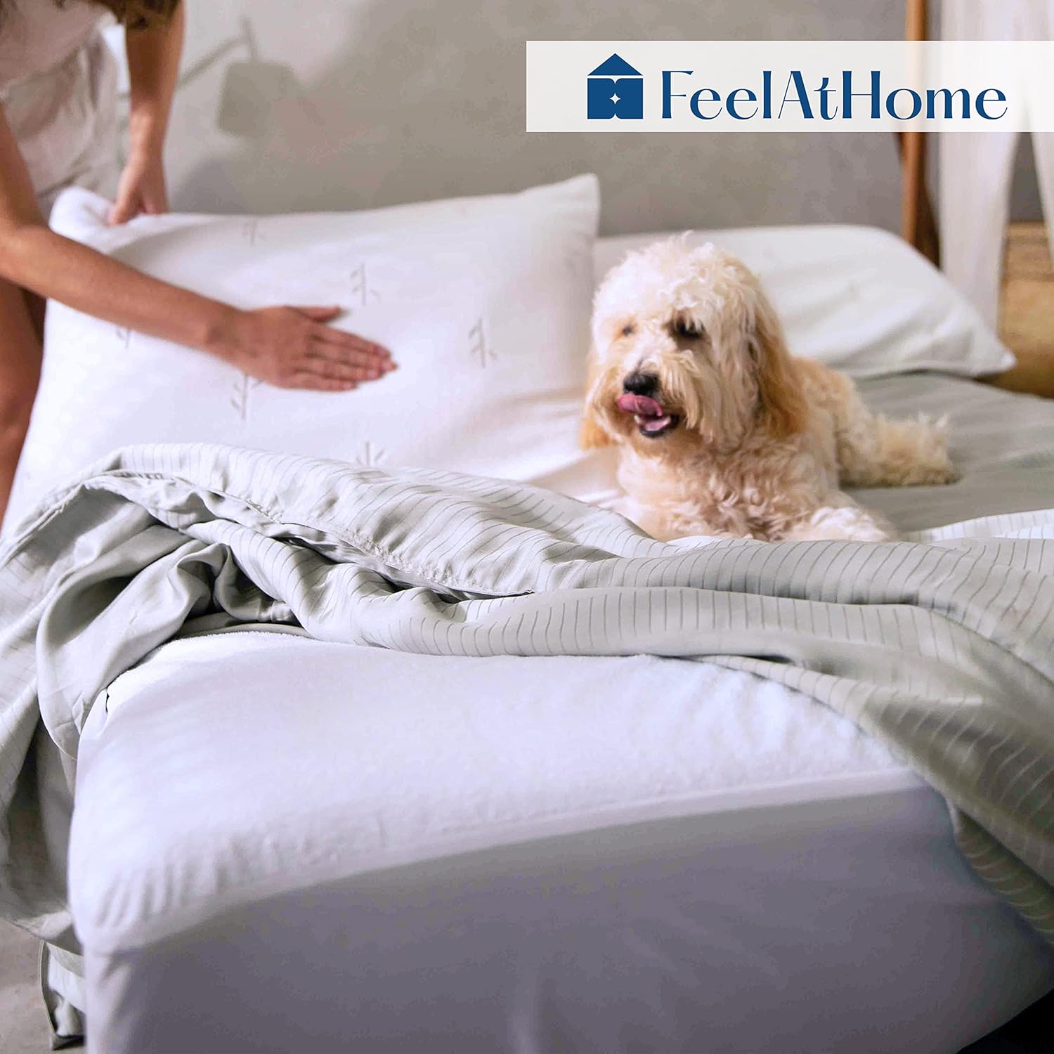 FeelAtHome Waterproof Mattress Cover Twin - 100% Cotton Terry, Soft, Breathable, Noiseless, Fitted Protector, White