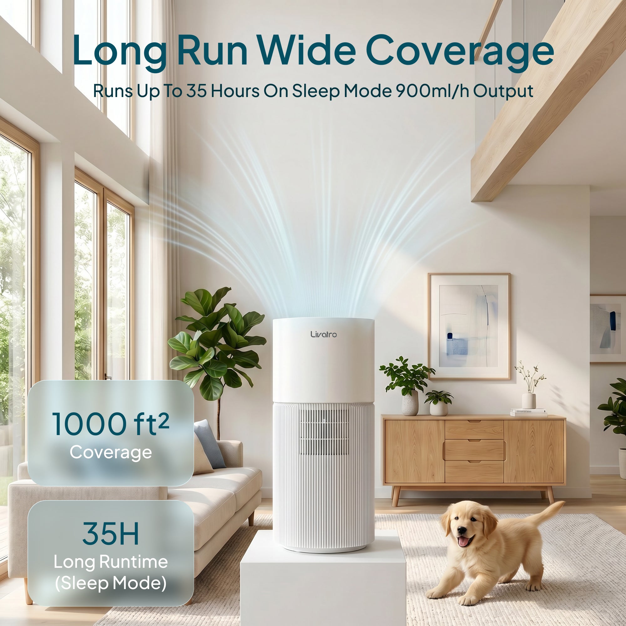 Livatro 8L Evaporative Humidifier – Top Fill, Auto-Dry Filter, Invisible Mist, AI Humidity Control, 28dB, Covers 1000 sq ft