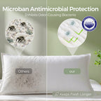 FAUNNA Dust Mite Proof Pillow Protector – 600TC 100% Cotton, Microban Antimicrobial, Zippered Enclosure, OEKO-TEX