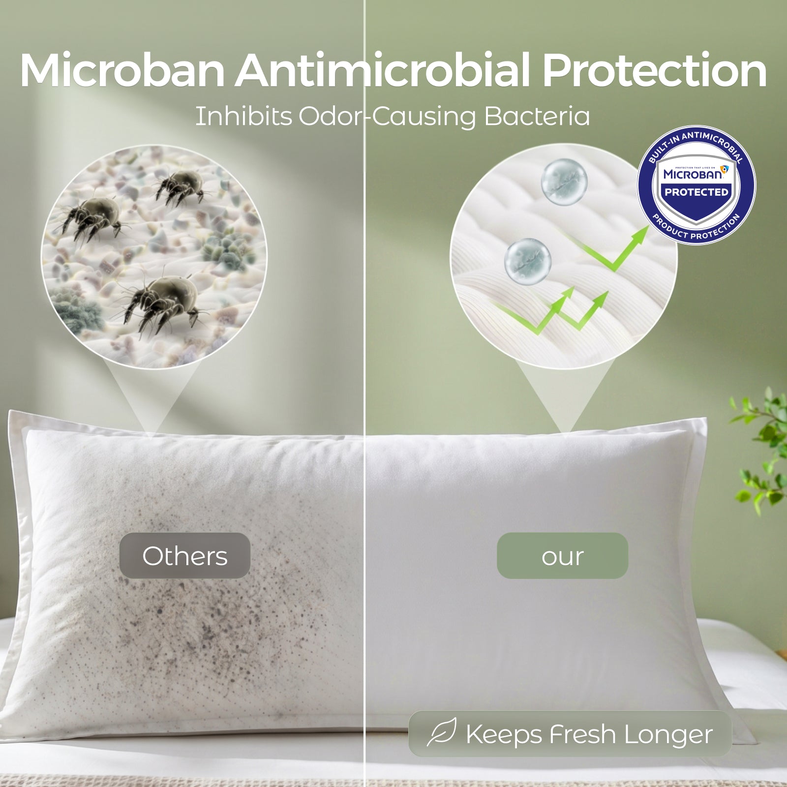 FAUNNA Dust Mite Proof Pillow Protector – 600TC 100% Cotton, Microban Antimicrobial, Zippered Enclosure, OEKO-TEX