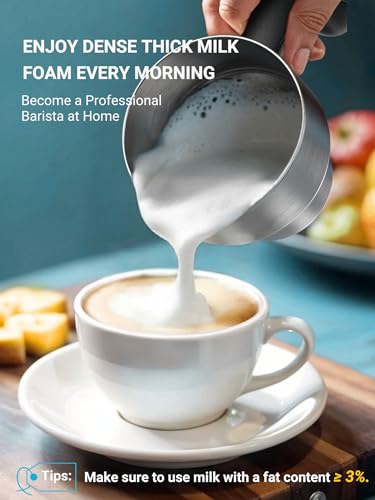 Stainless Steel Milk Frother