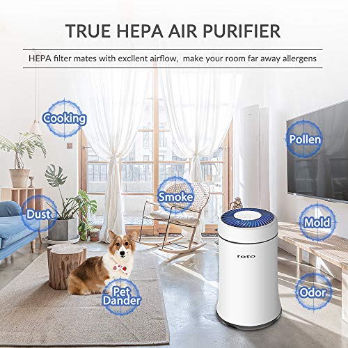 HEPA Filter, H13 Upgraded True HEPA 3 Stages Filtration Filter, High-Efficiency Activated Carbon Filter for Hisense