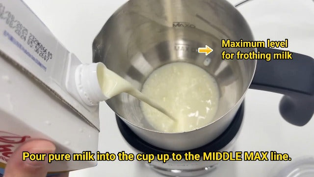 Stainless Steel Milk Frother