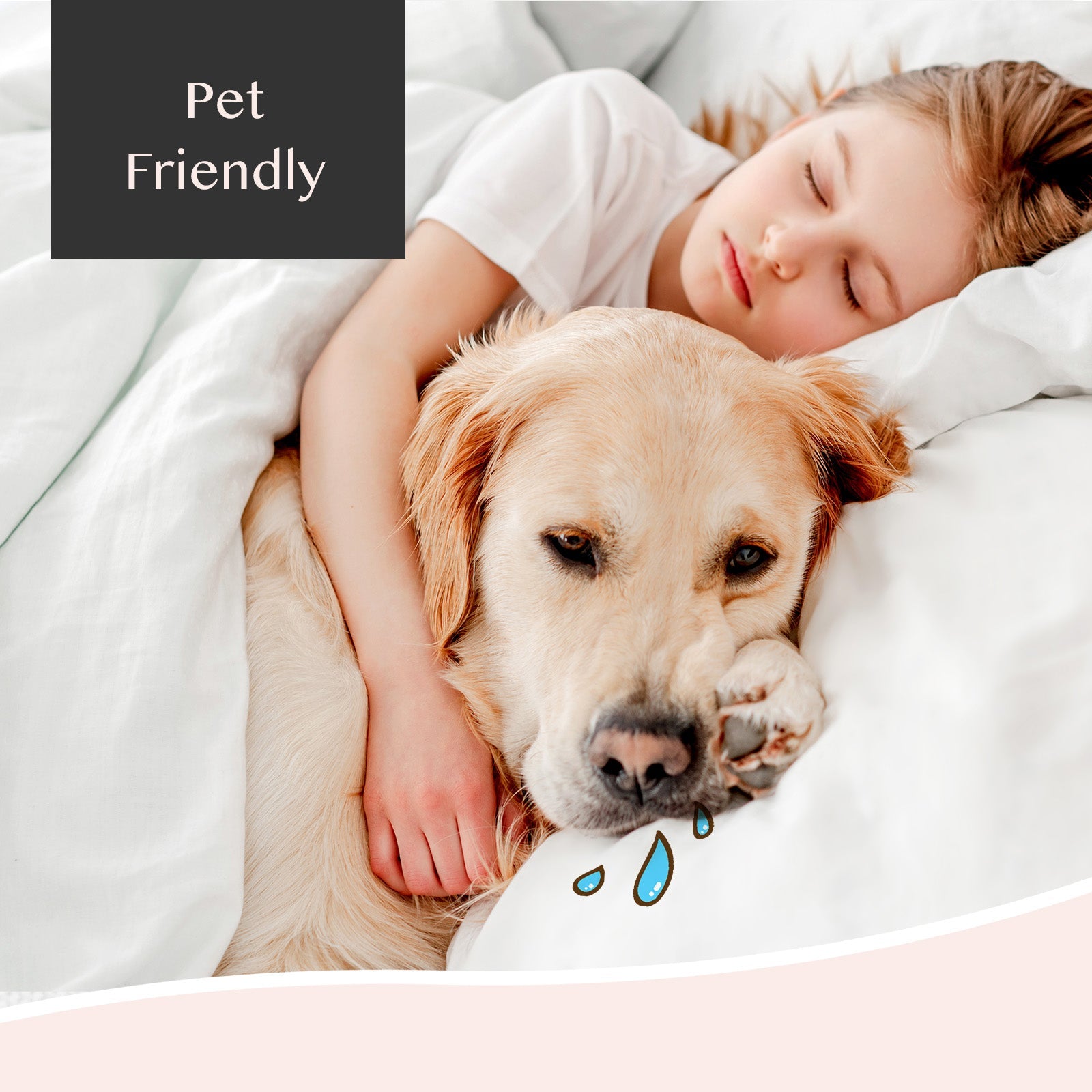 Faunna Waterproof Pillow Protector, Premium Cotton, Stain-Proof, Quiet, Breathable, White