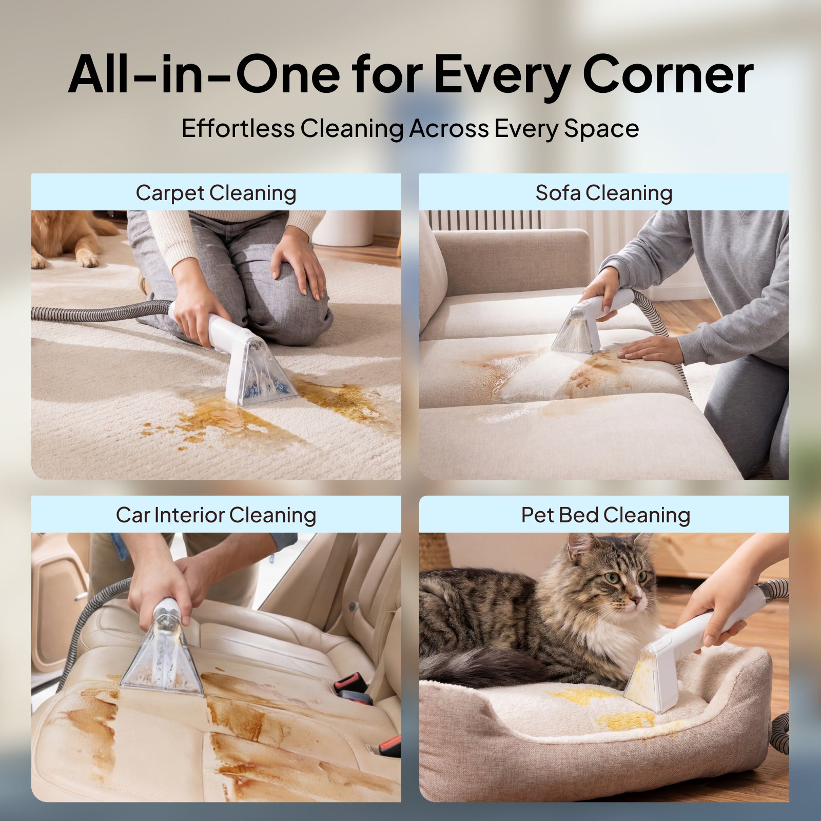 Livatro Upholstery Cleaner Machine – 16kPa Suction, 600W, 2300ml Tank, Self-Cleaning Hose, Portable Carpet & Sofa Spot Cleaner
